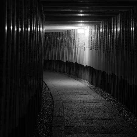 Another Night in Fushimi Inari