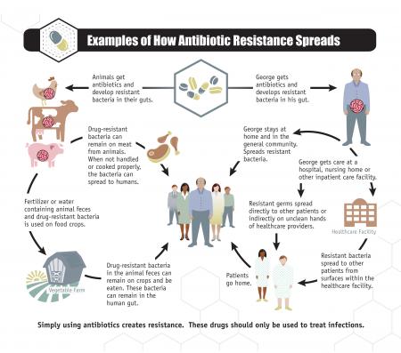 Antibiotic resistances