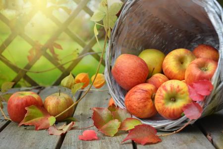 Apple Bucket