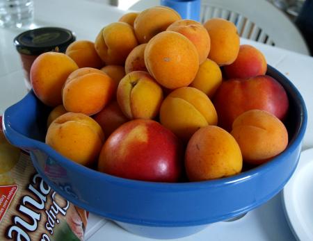 Apricots peaches