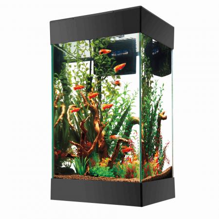 Aquarium