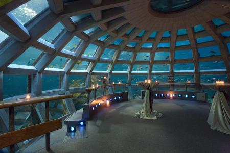 Aquarium Seattle