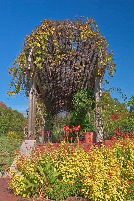 Arbor Corridor - HDR