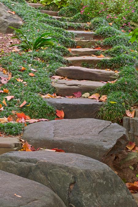 Arboretum Stepping Stones - HDR