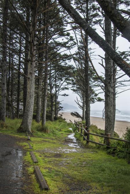 Arcadia Beach, Oregon, Path to Beach