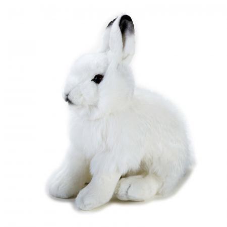 Arctic Hare