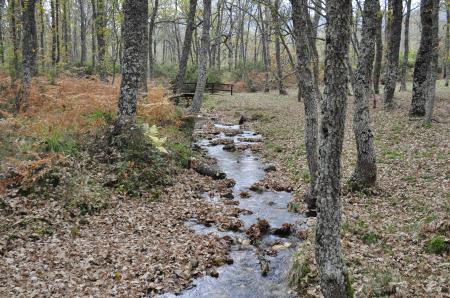 Arroyo de la Barranca o Gabín