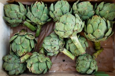 artichoke