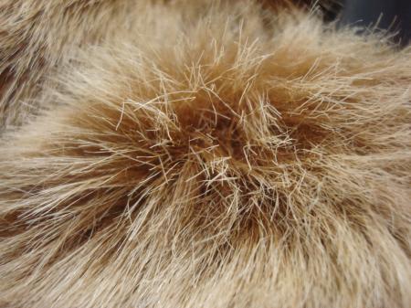 Artificial fur close-up