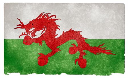 Asian Welsh Grunge Flag