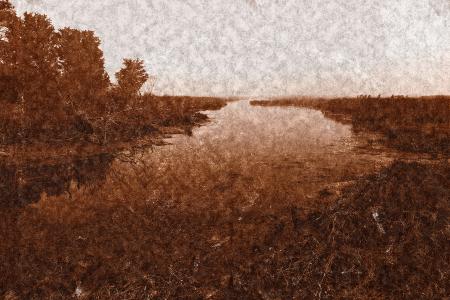 Assateague Island Marsh - Sepia Nostalgia