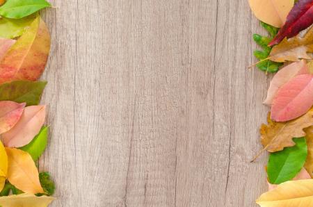 Assorted Leaves on Brown Wooden Surface