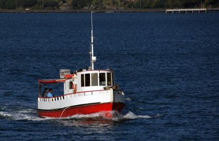 Auckland water front (23)