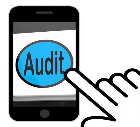 Audit Button Displays Auditor Validation Or Inspection