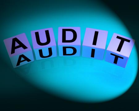 Audit Dice Refer to Investigation Examination and Scrutiny