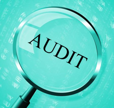 Audit Magnifier Shows Searching Auditing And Magnification