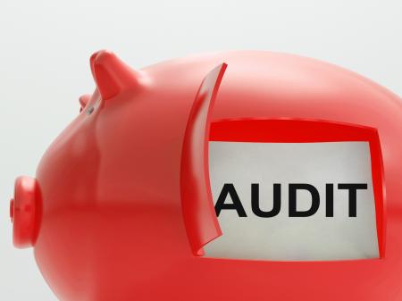 Audit Piggy Bank Means Inspection And Validation