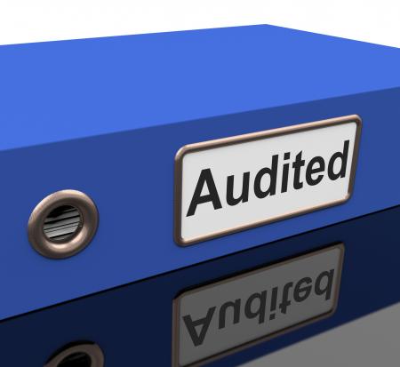 Audited File Shows Business Scrutiny And Inspect