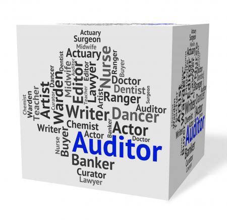 Auditor Job Represents Text Auditors And Inspectors