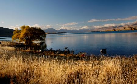 Autumn at Lake Tekapo NZ.