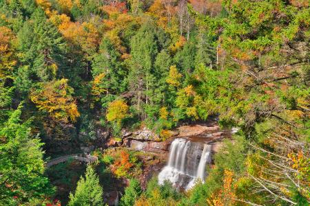 Autumn Blackwater Falls Overlook - HDR