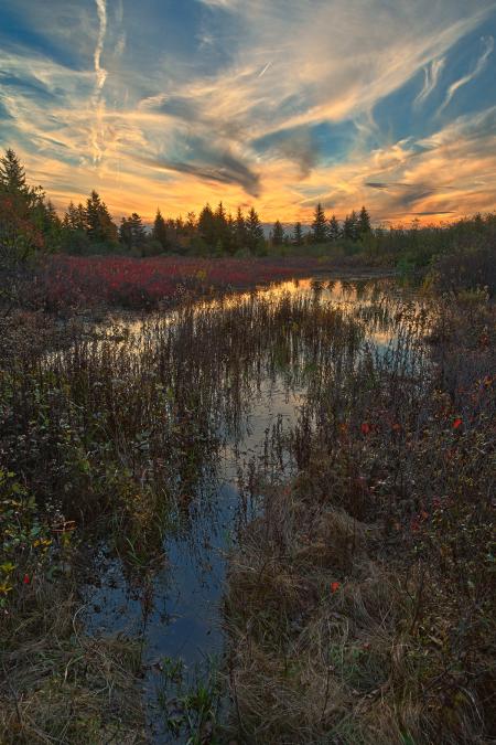 Autumn Dolly Sods Sunset - HDR