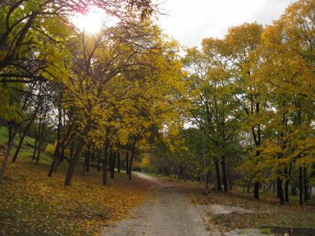 Autumn in the park