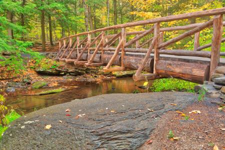 Autumn Log Bridge - HDR