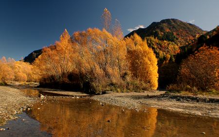 Autumn on the Arrow River NZ