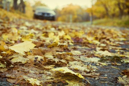 Autumn road