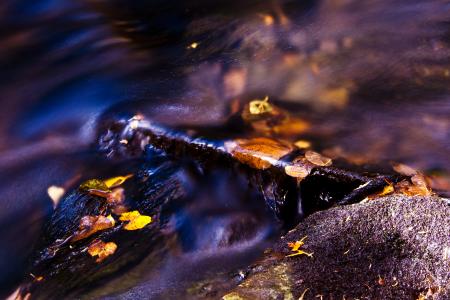 Autumn Stream
