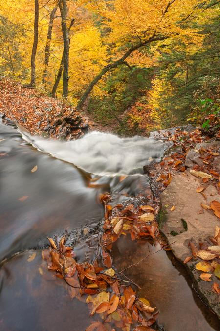Autumn Waterfall Precipice - HDR
