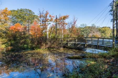 Avalon Fall Reflections