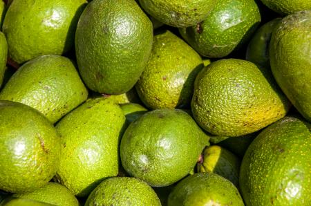 Avocado background on a market stail