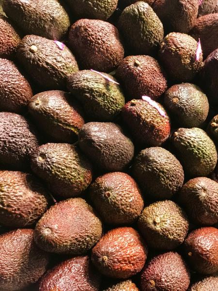 Avocado Lot