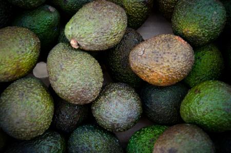 Avocado