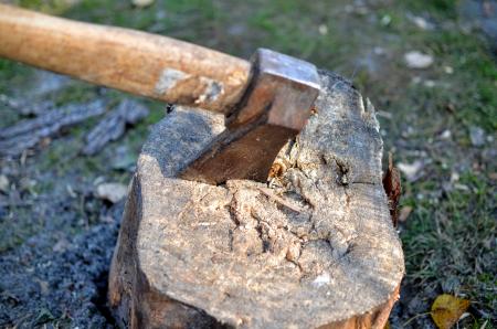 Axe in log close up