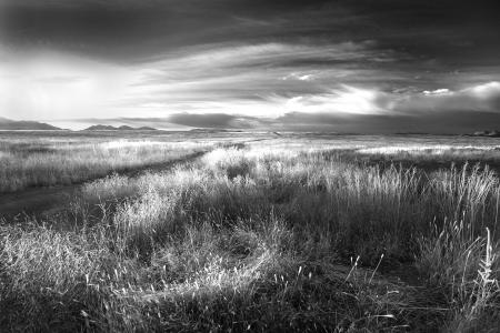 AZ - SAN RAFAEL VALLEY GRASSLANDS, SE of Patagonia, scc (40a)