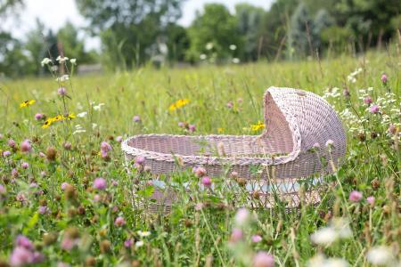 Baby Bassinet in the Garden