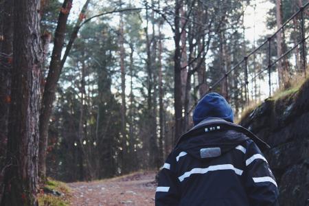 Back View of Man in Forest