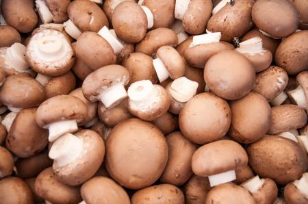 Background of fresh whole mushrooms