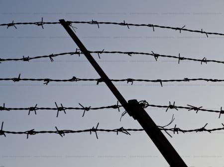 Barbed wire