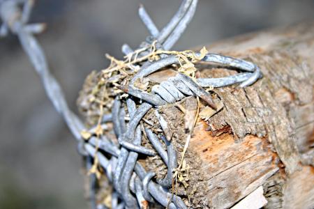 Barbed wire closeup