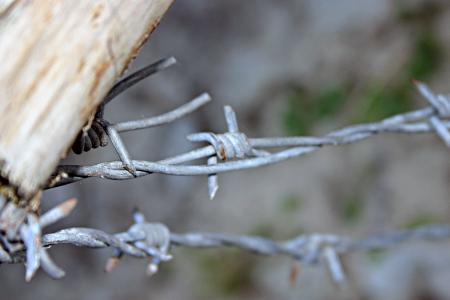 Barbed wire closeup