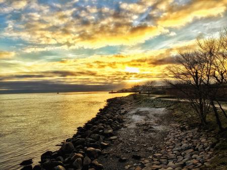 Bare Trees Near Seashore during Golden Hour