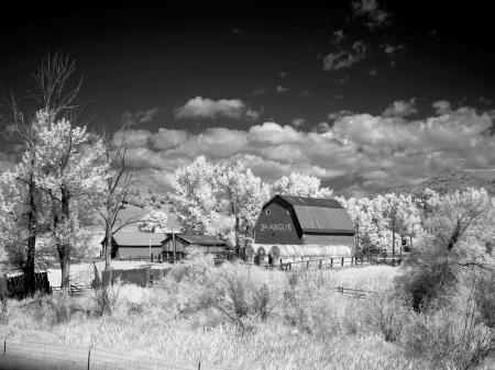 Barn in the Farm