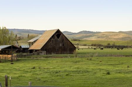 Barn near Richland, Oregon