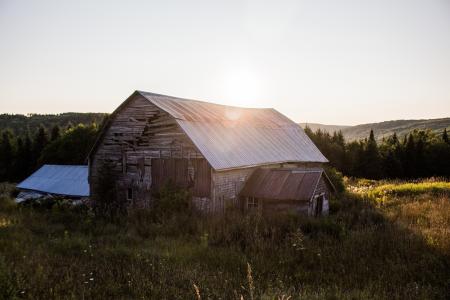 Barn Surrounded by Green Grasses