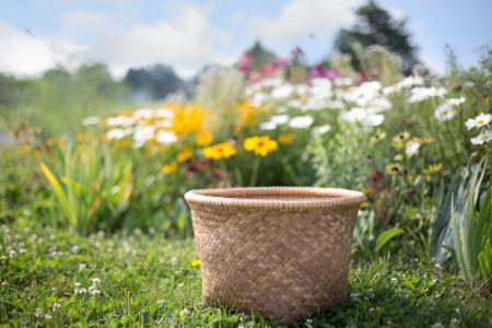 Basket in the Garden