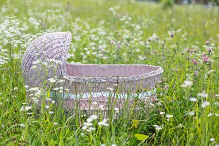 Bassinet in the Garden